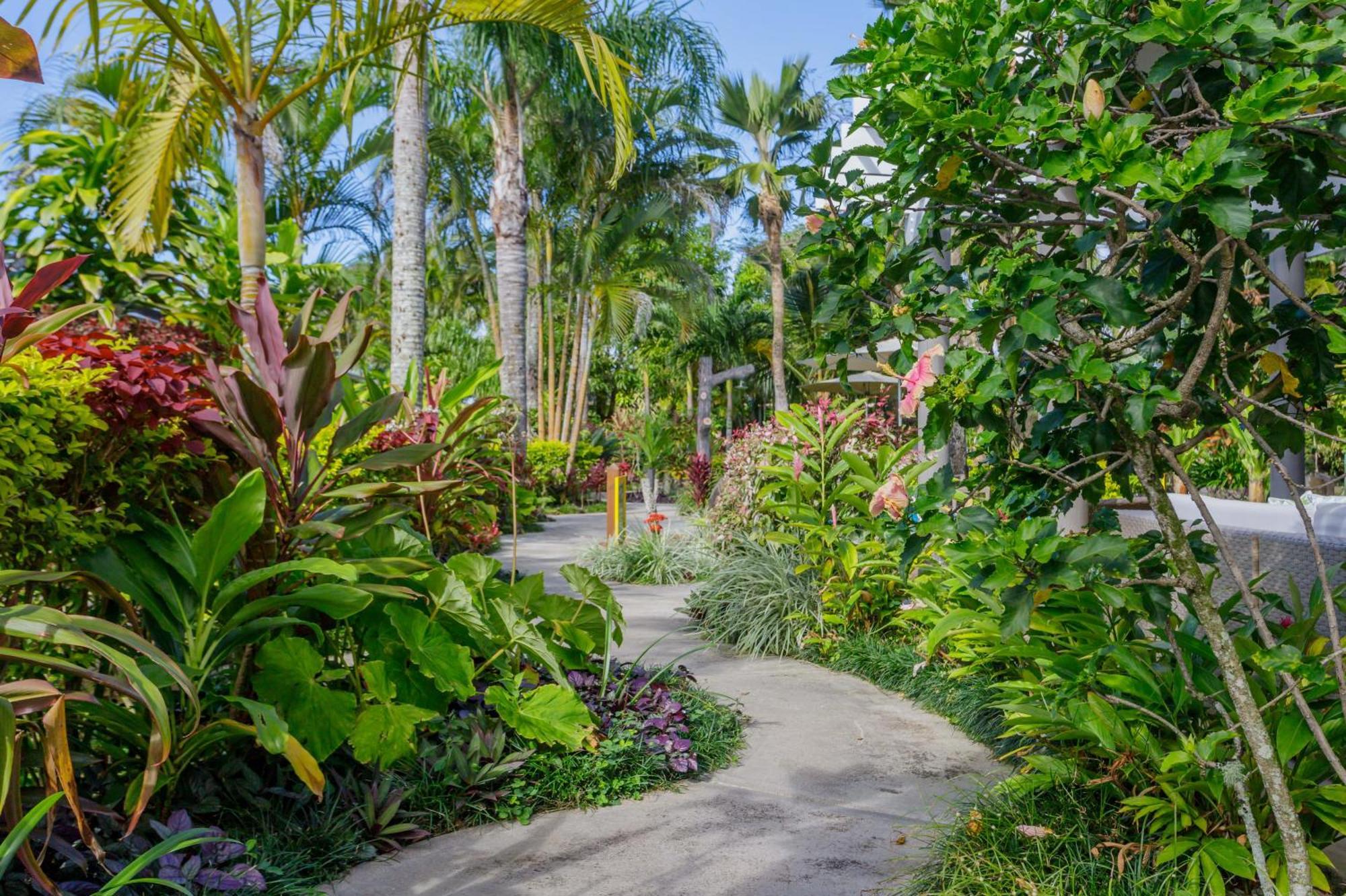 Rarotonga Daydreamer Escape Екстер'єр фото